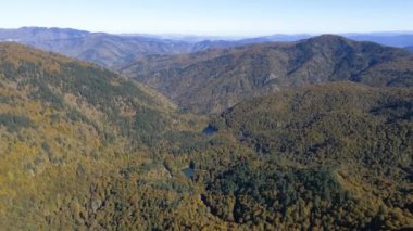 Orman havası manzaralı bir sonbahar. Yedigoller, Bolu.