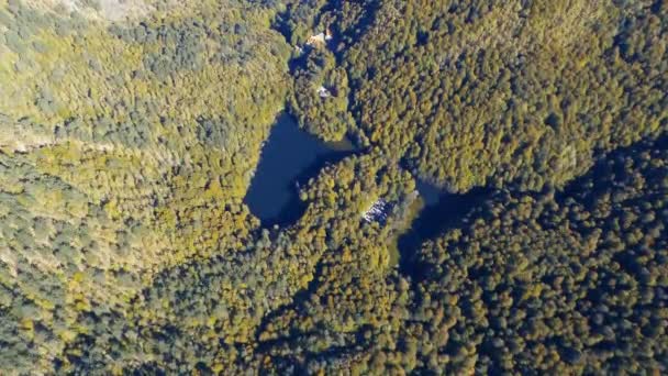 Vista Aérea Del Paisaje Otoñal Sobre Lago Bolu Yedigller Siete — Vídeos de Stock