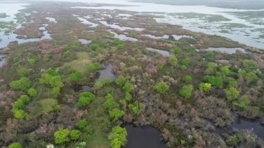 Bursa 'daki Karacabey Longoz Ormanları' nın hava manzarası. Nehrin taşması sonucu oluşmuş ve orman sularıyla kaplanmış..