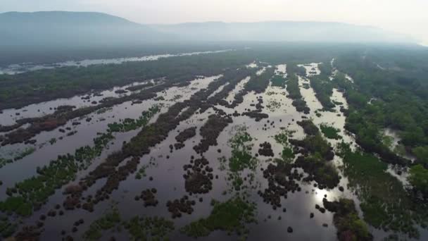 Pemandangan Udara Karacabey Longoz Forests Bursa Terbentuk Sebagai Akibat Dari — Stok Video
