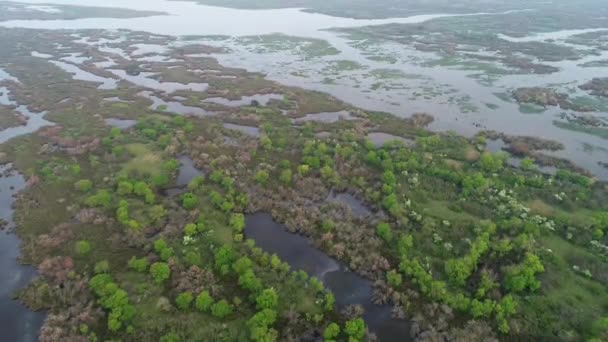 Ilmakuva Karacabey Longoz Metsät Bursassa Muodostuu Jokien Ylivuodon Seurauksena Peittyy — kuvapankkivideo