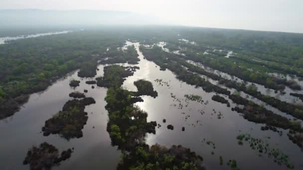 布尔萨Karacabey Longoz森林的空中景观 因河流泛滥而形成 并被森林水覆盖 — 图库视频影像