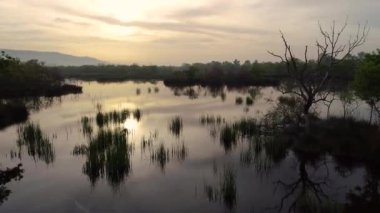 Sunset 'teki Karacabey Longoz Ormanları' nın hava manzarası. Nehirde ormanın yansımaları var..