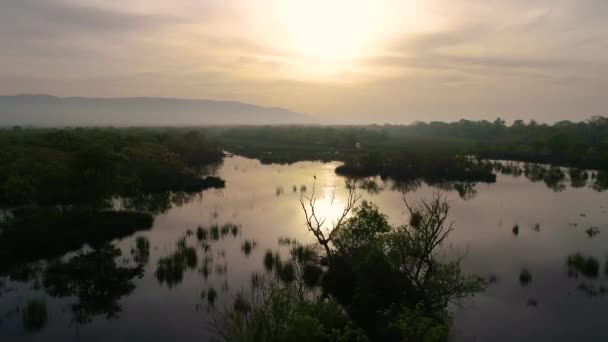 Luftaufnahme Der Karacabey Longoz Wälder Bei Sonnenuntergang Auf Dem Fluss — Stockvideo