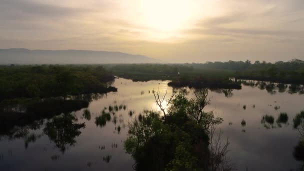 日落时Karacabey Longoz森林的空中景观 河流上有森林的倒影 — 图库视频影像