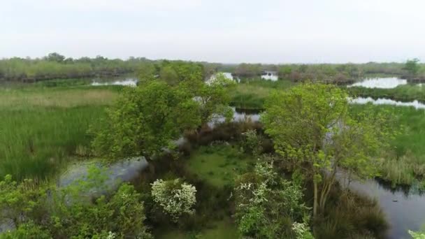 Вид Воздуха Леса Каракабея Лонгоза Бурсе Образовавшиеся Результате Переполнения Реки — стоковое видео