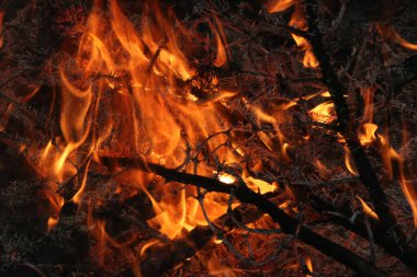 Ateş kıvılcımları siyah üzerine izole edildi