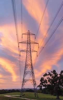 Turuncu günbatımında elektrik direkleri. Yüksek kalite fotoğraf