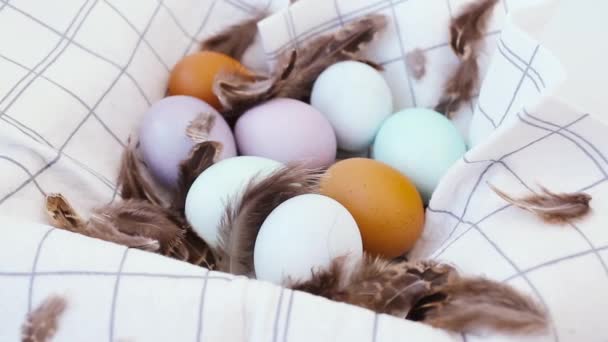 Purple Turquoise Brown Chicken Eggs Easter Eggs Wooden Box Stylish — Stock videók