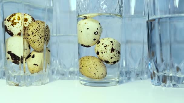 Quail Eggs Glass Water Interesting Content Quail Eggs — Vídeo de Stock