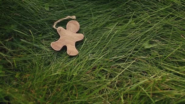 安全的木制儿童玩具躺在绿草上 一个由木头做成的矮个男人 — 图库视频影像