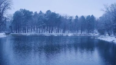 Akşam kar yağışının muhteşem ve rahat atmosferi. Mavi kar bir kış ormanı gölü üzerinde kıvrılır. Sinema atmosferi. Güzel ortam.