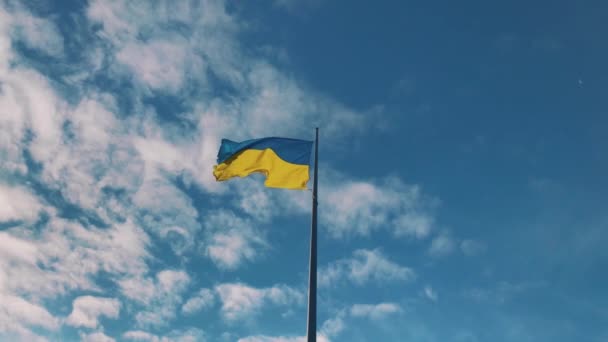 Ukrainian Yellow Blue National Flag Yellow Blue Flag Ukraine Flutters — Stock Video
