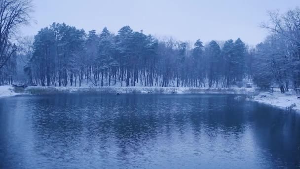 Atmosfera Favolosa Accogliente Nevicate Serali Blu Neve Turbinano Lago Foresta — Video Stock