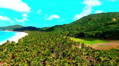 El Nido Nacpan İkiz Plajı Palawan Filipinleri. Tropik plaj, dalgalar ve bir sürü palmiye ağacı olan insansız hava aracı. Yüksek kalite 4k görüntü