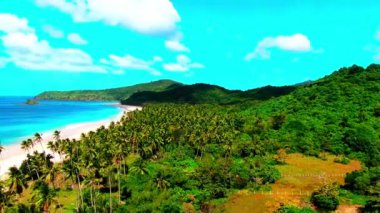 El Nido Nacpan İkiz Plajı Palawan Filipinleri. Tropik plaj, dalgalar ve bir sürü palmiye ağacı olan insansız hava aracı. Yüksek kalite 4k görüntü
