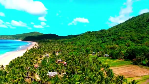 Дрон Nido Nacpan Twin Beach Palawan Philippines Снял Пляж Волны — стоковое видео
