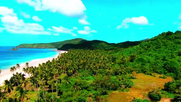 Nido Nacpan Twin Beach Palawan Filippine Drone Girato Con Spiaggia — Video Stock