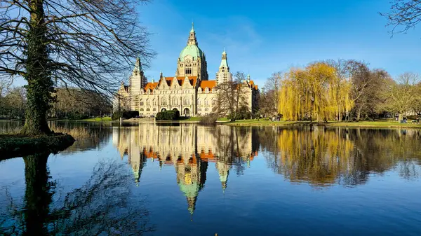 Hanover Maschpark yeni belediye binası göl suyunda güzel bir ağaç yansıması var. Yüksek kalite fotoğraf