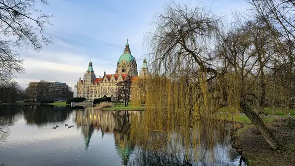 Hanover Maschpark yeni belediye binası göl suyunda güzel bir ağaç yansıması var. Yüksek kalite fotoğraf