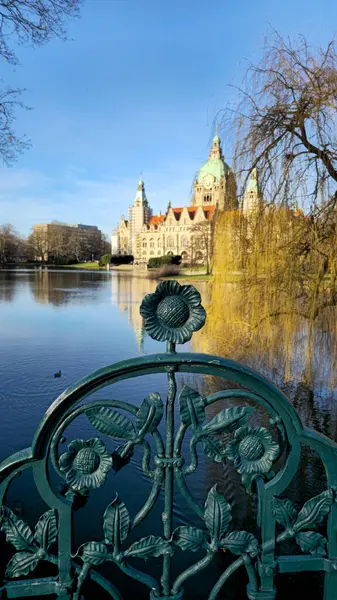 Hanover Maschpark yeni belediye binası göl suyunda güzel bir ağaç yansıması var. Yüksek kalite fotoğraf