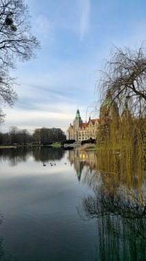 Hanover Maschpark yeni belediye binası göl suyunda güzel bir ağaç yansıması var. Yüksek kalite fotoğraf