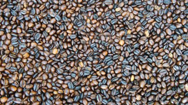 Kahverengi ve siyah Afrika kilimanjaro tanzanya kahvesinin farklı tonlarında kavrulmuş kahve çekirdekleri. Yüksek kalite fotoğraf