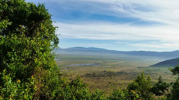 Ngorongoro krateri ulusal park manzaralı Tanzanya 2022. Yüksek kalite fotoğraf