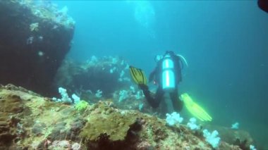 Bir grup aquanauts dalış ekipmanları kullanarak bir mercan resifinin yakınındaki sualtı dünyasını keşfediyor. Su altı dalışlarının tadını çıkarırken etrafları sıvı ve deniz organizmalarıyla çevrili.