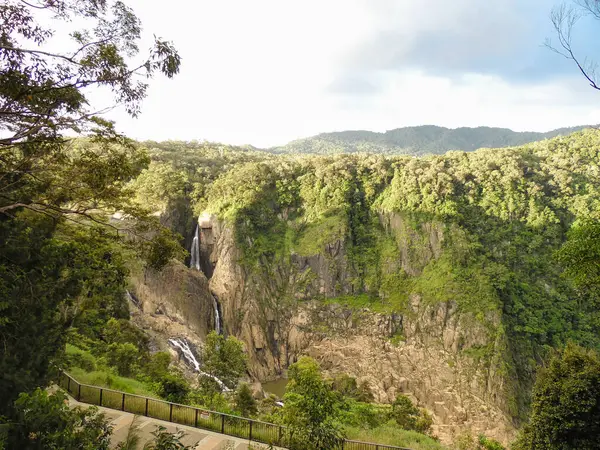 Barron Falls Ulusal Park Skyrail Yağmur Ormanları Queensland Avustralya manzaralı. Yüksek kalite fotoğraf