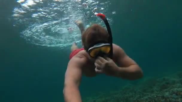 Vertebrate Underwater Diving Wearing Diving Equipment Including Mask Goggles Exploring — Stock Video