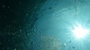 Elektrik mavisi güneş cam su damlacıkları gibi parlıyor. Deniz biyolojisi deneyinde büyüleyici bir su altı görüntüsü yaratıyor. Hava kabarcıkları.
