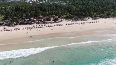 Tropikal bir sahil manzarası. Palmiye ağaçları olan sakin bir sahil. Dalgalar sahile çarptığında okyanusta yüzen insanlar.