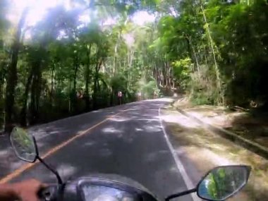 Motosikletli ağaçlarla çevrili asfalt bir yolda ilerleyen bir insan, motorlu taşıma aracı ve otomobilin dış yüzeyi, aynaları ve ışıkları Bohol Filipinler