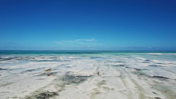 Droneshot Představovat Pěkný Jambiani Zanzibar Záběry Pláže Oceánem Pozadí Pod — Stock video