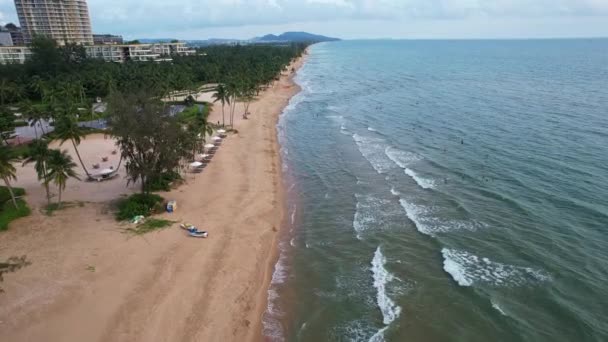 바다와 하늘에 프레임 해변과 풍경입니다 나무는 지평선을 나타내며 여행을위한 아름다운 — 비디오