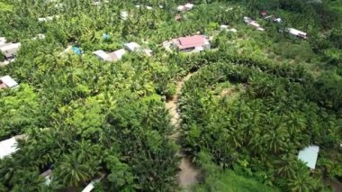 Hava perspektifi, ağaçlar, çalılar ve çimenler gibi çeşitli karasal bitkilerin sergilendiği, uzak mesafede evleri olan zengin yeşil bir ormanı gösteriyor. 5k Mekong Deltası