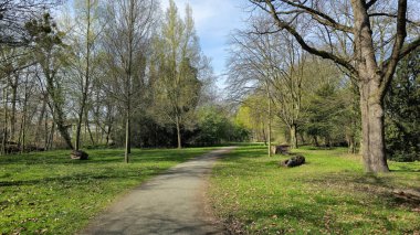 Uçsuz bucaksız gökyüzünün altında yumuşak bulutlu Hanover Almanya 'yı oluşturan, yemyeşil ağaçlar ve yemyeşil otlarla kaplı bir parkta manzaralı bir patika.