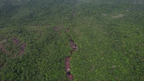 Rozsáhlá Krajina Svěží Zelené Travnaté Porosty Poseté Různými Rostlinami Stromy — Stock video