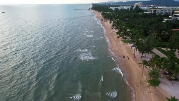 Zachyťte Krásu Tropické Pláže Palmami Narážející Vlny Malebné Budovy Pozadí — Stock video