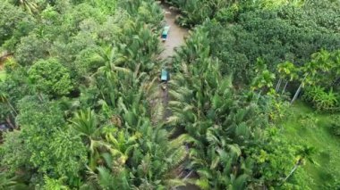 Dolaşan bir nehri olan yeşil bir orman perspektifi. Manzara ağaçlar, çalılar, çimenler ve Mekong Delta Vietnam gibi çeşitli karasal bitkilerle doludur.