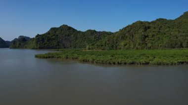 Canlı bitki topluluklarının, görkemli dağların ve çarpıcı hava manzaralı göllerin güzelliğine dalın. 5K görüntü Cat Ba Halong Bay Vietnam Asya