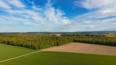 Uçsuz bucaksız yeşil bir arazisi, dağınık ağaçları ve berrak mavi gökyüzü ile huzurlu ve sakin bir atmosfer yaratıyor - Hanover Seelze Almanya FPV Drone görüşü
