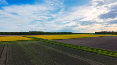 Yeşil bitkiler, asfalt yol yüzeyi ve alacakaranlık 4K FPV insansız hava aracı görüntüsü sırasında arkada bulutlu mavi bir gökyüzü olan doğal bir manzaranın puslu bir resmi. 