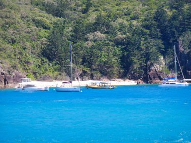 Birkaç tekne kumlu sahil kenarında suda yüzerken görülebiliyor ve Whitsunday Adası, Queensland, Avustralya 'da pitoresk bir kıyı manzarası yaratıyor.