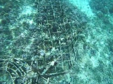 Yaşamsal bir deniz kalıntısı olan büyüleyici su altı gemi enkazına doğru ilerleyin, şimdi canlı bir mercan yaşam alanı olarak gelişmekte olan Bali Gili Trawangan Dalışı