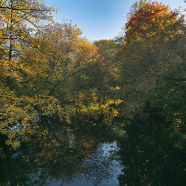 Güzel, huzurlu bir sonbahar manzarası. Canlı yeşillikler ve sakin sular. Doğa teması Hannover Maschsee Almanya 'ya mükemmel uyuyor.