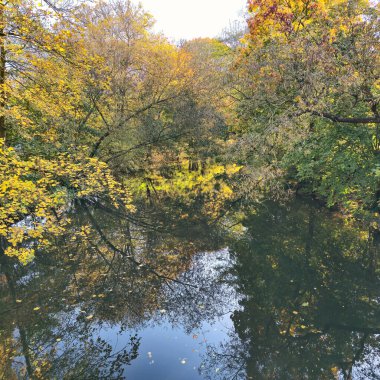 Huzurlu bir nehir manzarası sonbahar yeşilliğinin canlı renklerini ve çarpıcı yansımalarını çeker Hannover Maschsee