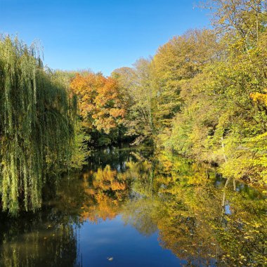 Parlak sonbahar yeşilliklerinin göz kamaştırıcı manzarası berrak mavi gökyüzü Hannover Maschsee 'nin altında dingin ve sakin bir göle yansıyor.