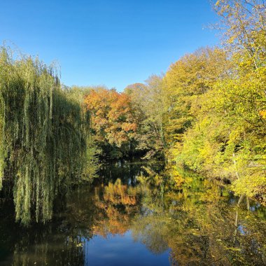 Hannover Maschsee 'nin sularında berrak ve güzel yansımaları olan canlı sonbahar renklerini gösteren sakin bir nehir manzarası.